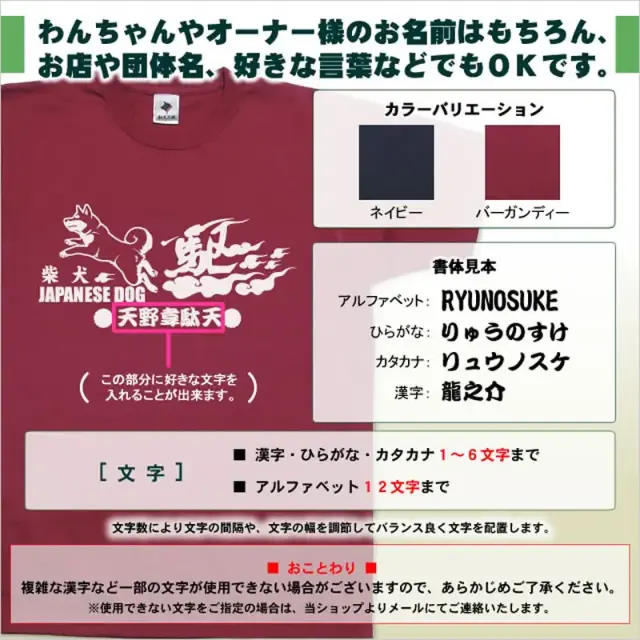 Ｔシャツ　カケル