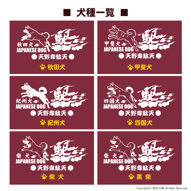 Ｔシャツ 駆