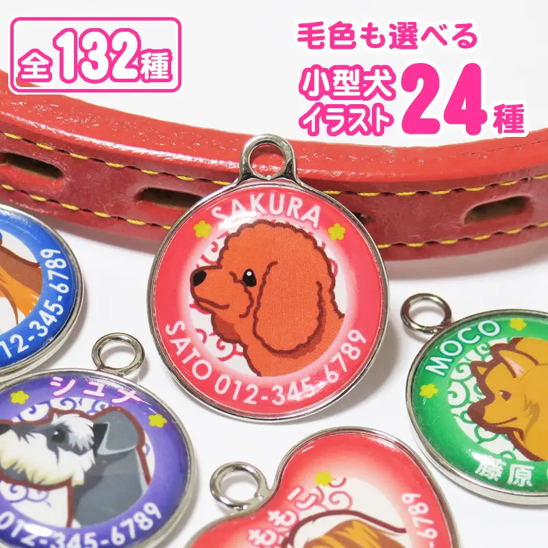 迷子札　小型犬イラスト