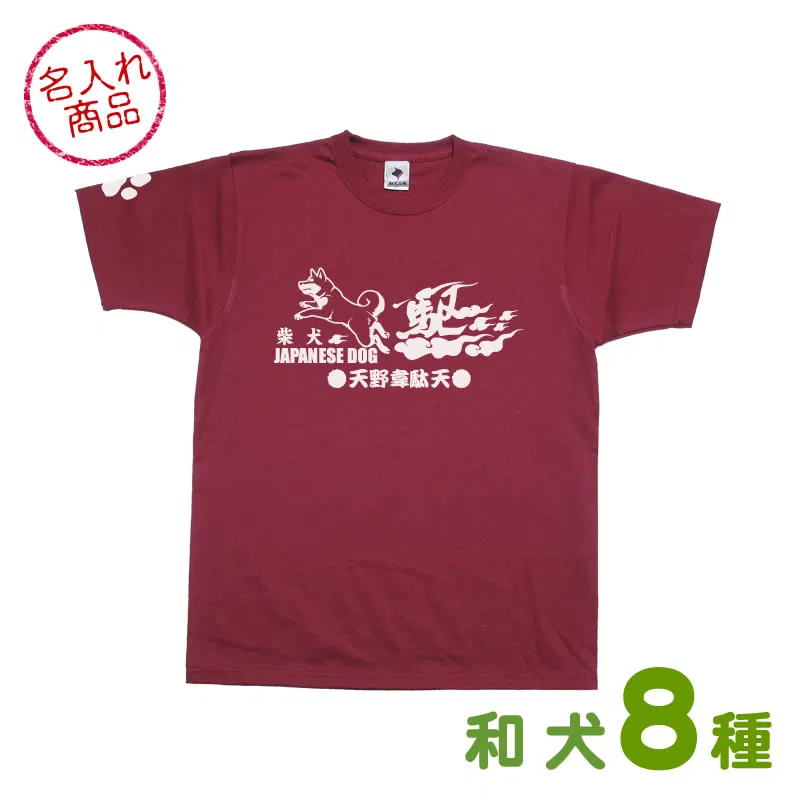 Ｔシャツ　カケル