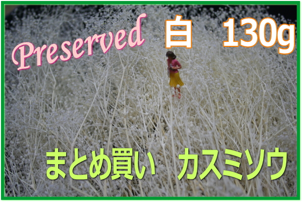 模型カスミソウ