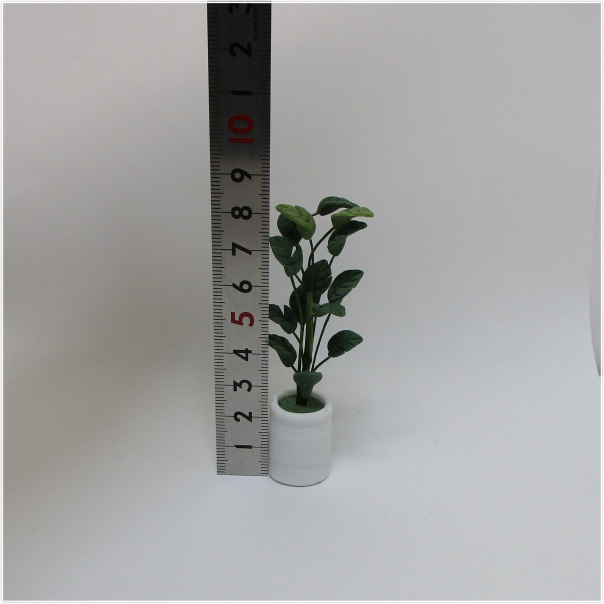 ドールハウス花