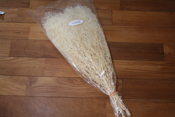 模型カスミソウ