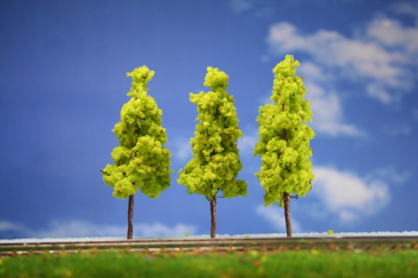 樹木模型　住宅模型