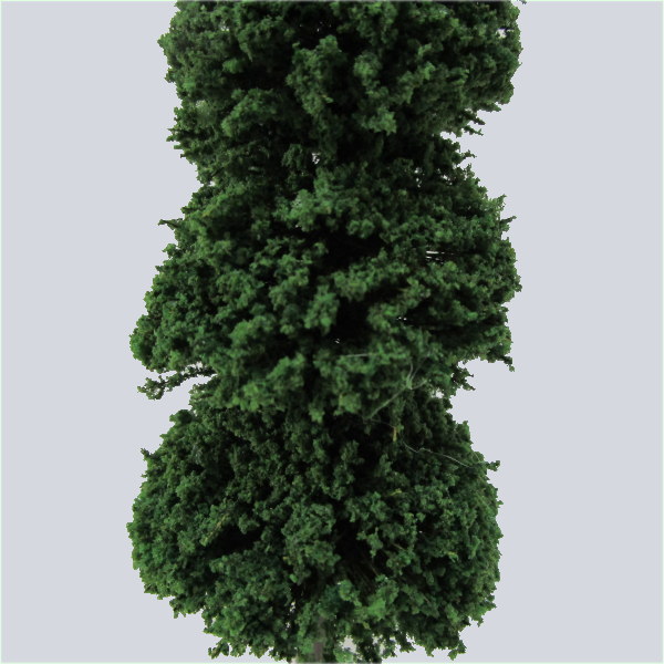 ミニチュア樹木