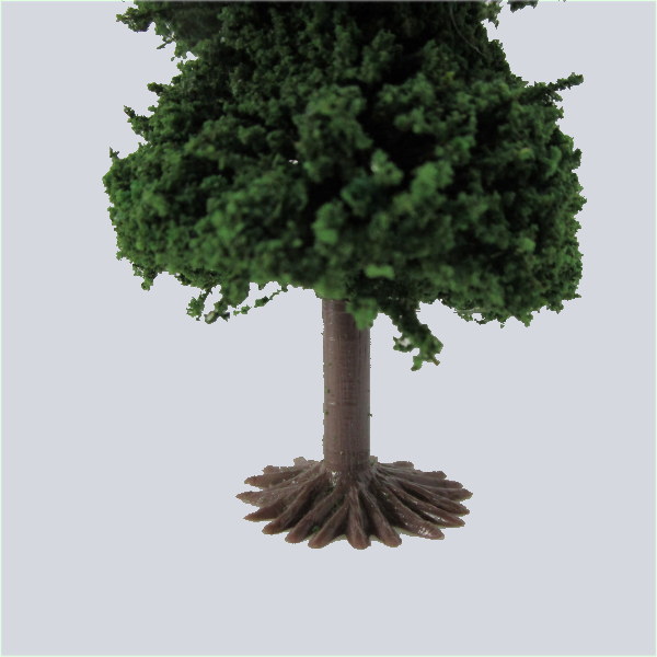 樹木模型