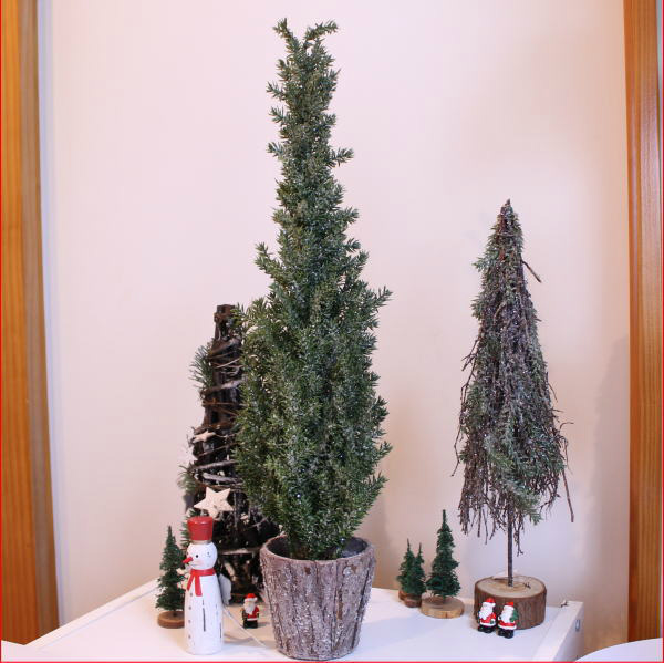 クリスマス装飾