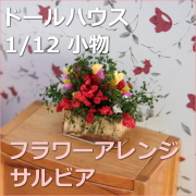 ミニチュア植物