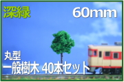 樹木模型　レイアウト