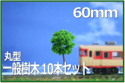 建築模型植栽