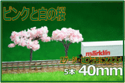 Zゲージサクラ