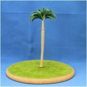 大王ヤシ