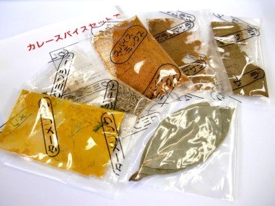 ☆数量限定セール品☆インド風カレースパイスセット