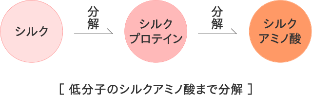 低分子のシルクアミノ酸まで分解