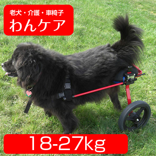 犬用車椅子