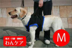 前脚用歩行補助ハーネス