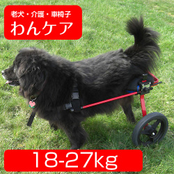 犬用車椅子