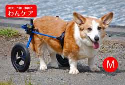 K9カート犬用車椅子[スタンダード]後脚サポート M(11.1～18kg)用【犬用介護用品】車イス