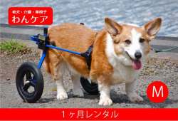 【１ヶ月レンタル】K9カート犬用車椅子[スタンダード]後脚サポート M(11.1～18kg)用【犬用介護用品】車イス