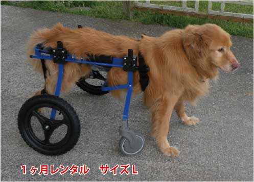 【１ヶ月レンタル延長】K9カート犬用車椅子[スタンダード]後脚サポート L　4輪