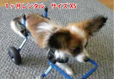 犬用車いすXSレンタル