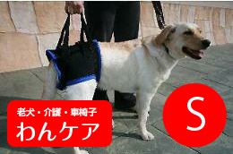 歩行補助ハーネス