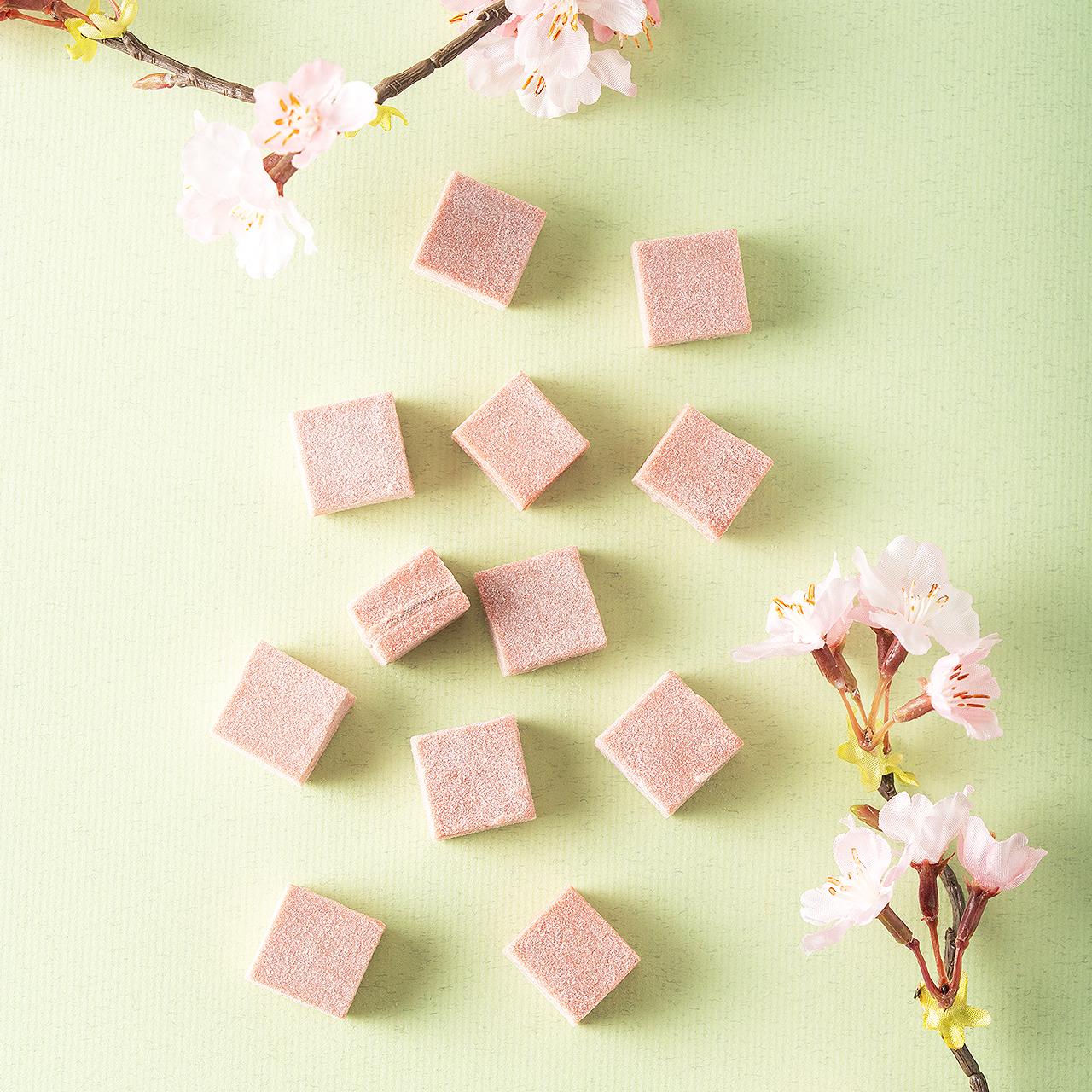 【2026Spring】mochi生チョコ さくら ※冷蔵配送