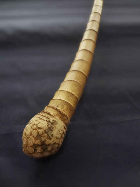 釣竿製作用”淡竹根っこ付き680-24.5-20.6mm【商品番号HA363】