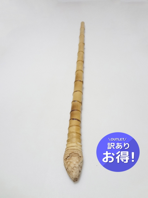 わけあり淡竹根付
