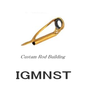 IGMNST