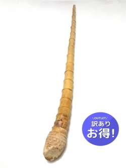 わけあり淡竹根付