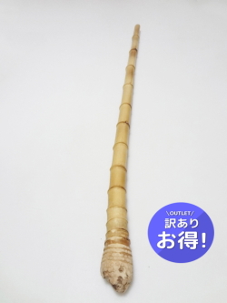 わけあり淡竹根付