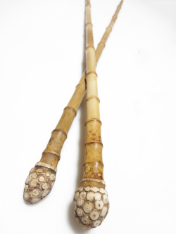 淡竹根付き