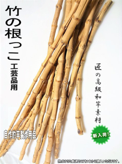 竹の根っこ