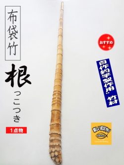 和竿や自作釣竿の製作に布袋竹根付き1170-27-18.5(mm)【商品番号