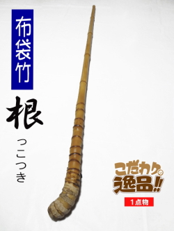 和竿　竹竿素材　淡竹 淡竹根付き釣竿製作用・和竿手元素材【各種サイズ】バージョン1