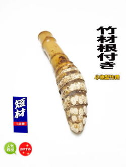 小物製作用和竿竹材｜和竿・自作釣竿パーツ・釣具のKASE