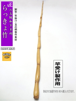 らっきょ竹｜釣具のkase