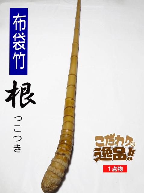 和竿や自作釣竿の製作に布袋竹根付き1250-27-24.8(mm)【商品番号】sn460
