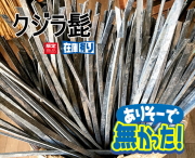 クジラ髭