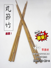 homochi-shot2023.jpg