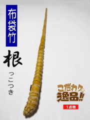 和竿製作用布袋竹の根っこ付き竹材│和竿,自作釣竿パーツ釣具のKASE