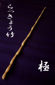 らっきょう竹