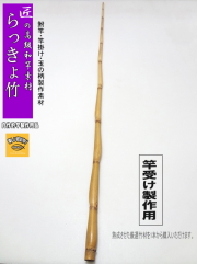 らっきょ竹｜釣具のkase