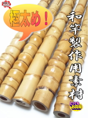 極ふとサイズテトラ穴釣り2023