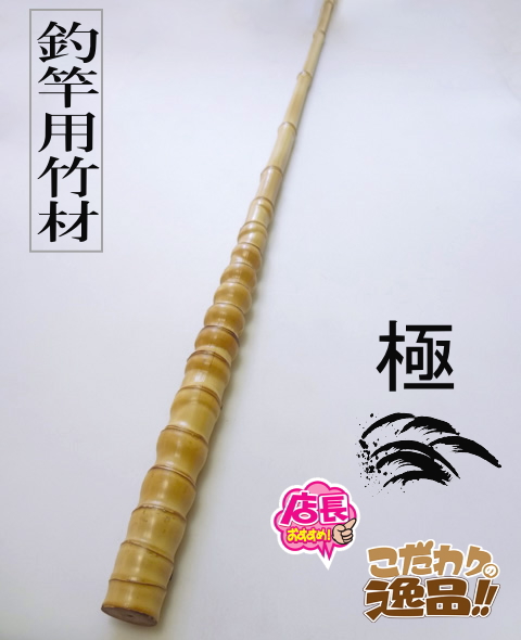 釣り具・その他グリップ用布袋竹「太・極上物・浅く芽取り済み」9本セットA 釣り具・その他グリップ用布袋竹「細・根付き・浅く芽取り済