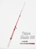 tetora600-21.jpg