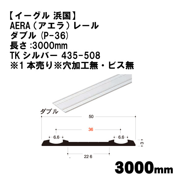 【イーグル 浜国】AERA （アエラ）435-508　商品画像2