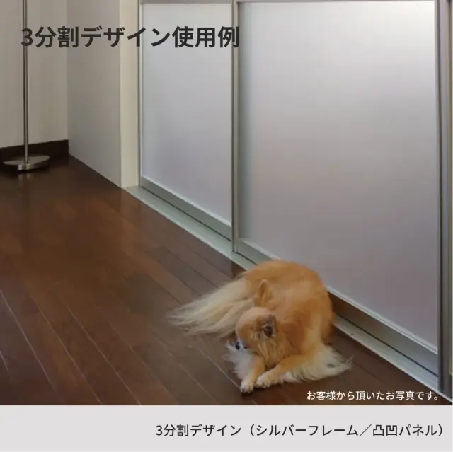 引き戸の前で気持ちよさそうにくつろいでいる犬の様子