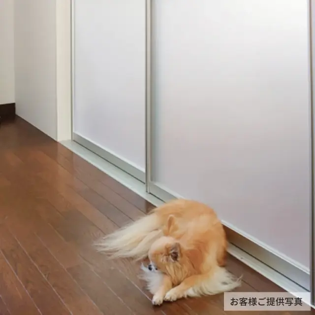 お客様から頂いた写真（アルミの引き戸の前で気持ちよさそうに座るワンちゃん）